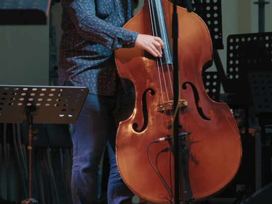 夜のモントリオール ジャズナイトツアー　異国料理レストランでのディナー付き ＜日本語ガイド／モントリオール発＞