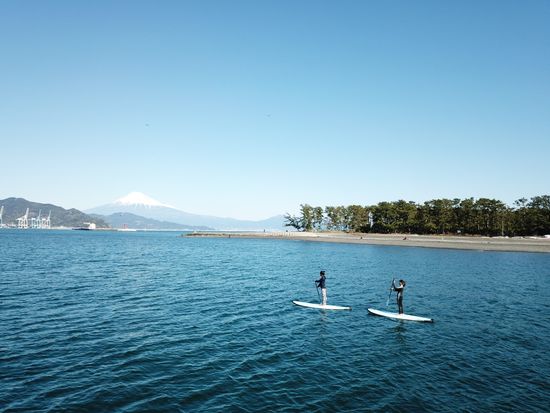 E2BE65E6CE31B9AF9F9C567D2C535BA5