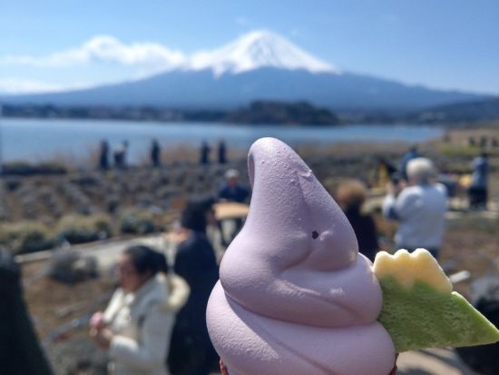 東京発日帰りバスツアー　富士山＆忍野八海・新倉富士浅間神社・大石公園！絶景ポイントをぐるっと巡る四季の風景満喫プラン＜英語・中国語ガイド／外国人混在ツアー＞