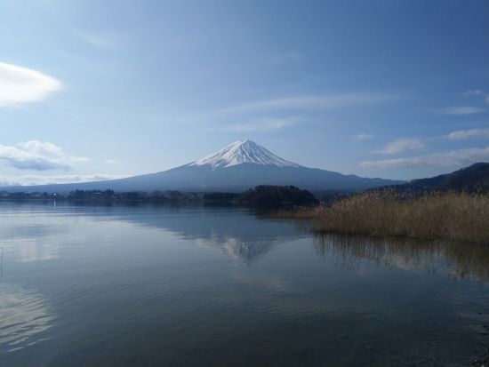 東京発日帰りバスツアー　富士山＆忍野八海・新倉富士浅間神社・大石公園！絶景ポイントをぐるっと巡る四季の風景満喫プラン＜英語・中国語ガイド／外国人混在ツアー＞