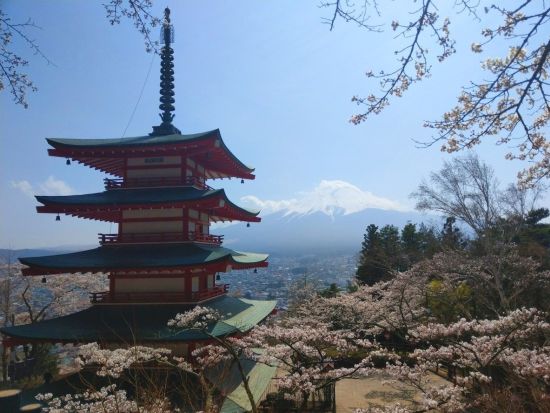 東京発日帰りバスツアー　富士山＆忍野八海・新倉富士浅間神社・大石公園！絶景ポイントをぐるっと巡る四季の風景満喫プラン＜英語・中国語ガイド／外国人混在ツアー＞