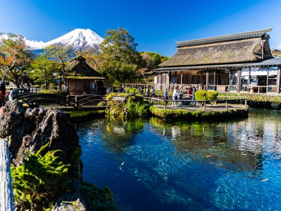 東京発日帰りバスツアー　富士山＆忍野八海・新倉富士浅間神社・大石公園！絶景ポイントをぐるっと巡る四季の風景満喫プラン＜英語・中国語ガイド／外国人混在ツアー＞