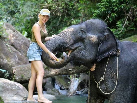ラフティング＆サファリ(象乗り体験、ATVバギー、象と川遊び、ジップライン等)☆欲張り派向けのアクティビティ満喫プラン＜終日／ホテル送迎付／英語ガイド／昼食付＞