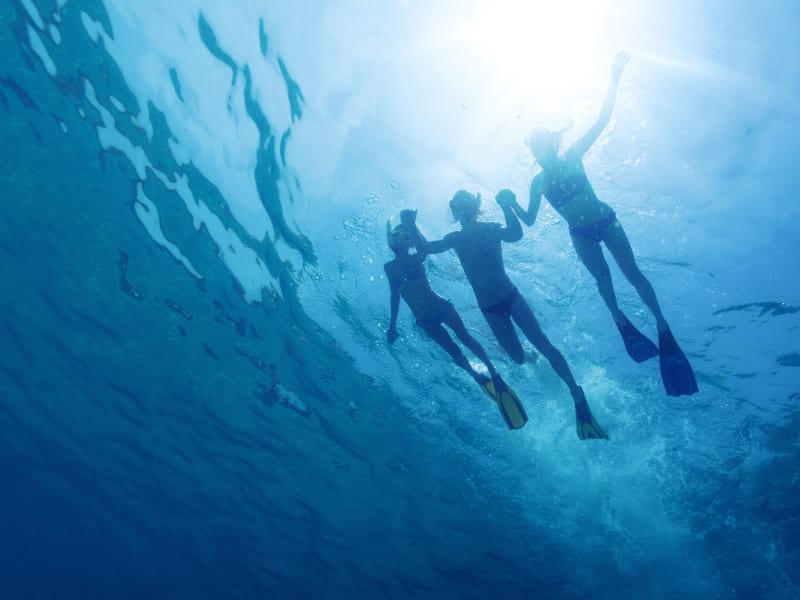 Snorkeling_Blue_Swimming_Ocean_Sunlight_shutterstock_310266890