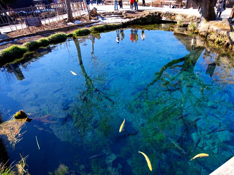 【青い湖ページ】 ブルークロームレイクスペリオルナンバープレート - Etsy 日本