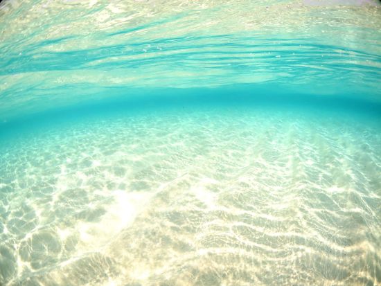 ホワイトビーチシュノーケリング　4歳から体験可能 白い砂の広がる美しい海で魚たちと出会う＜笠利町・龍郷町内送迎可＞byダイビングショップネバーランド