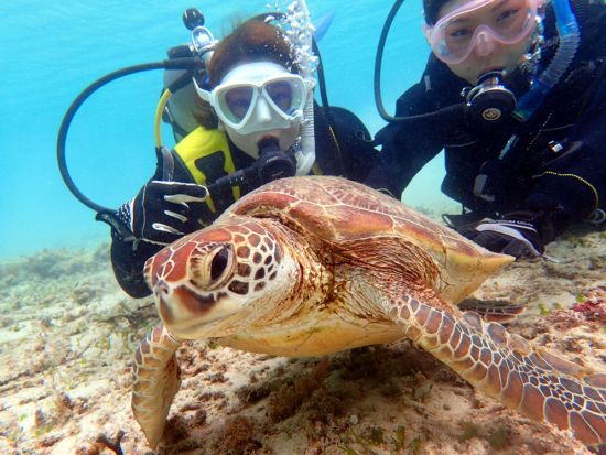 体験ダイビング 半日（1ダイブ）または1日（2ダイブ）ドライスーツレンタル無料 ＜ビーチエントリー／笠利町・龍郷町内送迎可＞ byダイビングショップネバーランド