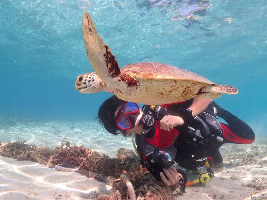 体験ダイビング 半日（1ダイブ）または1日（2ダイブ）ドライスーツレンタル無料 ＜ビーチエントリー／笠利町・龍郷町内送迎可＞ byダイビングショップネバーランド