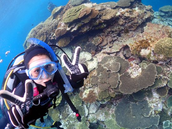 体験ダイビング 半日（1ダイブ）または1日（2ダイブ）ドライスーツレンタル無料 ＜ビーチエントリー／笠利町・龍郷町内送迎可＞ byダイビングショップネバーランド