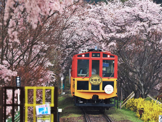 Arashiyama_Sagano Romantic Train_pixta_75870333