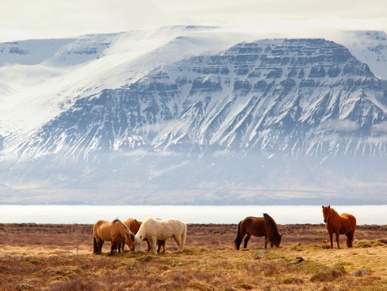 vladimir-riabinin-diMBLU4FzDQ-unsplash