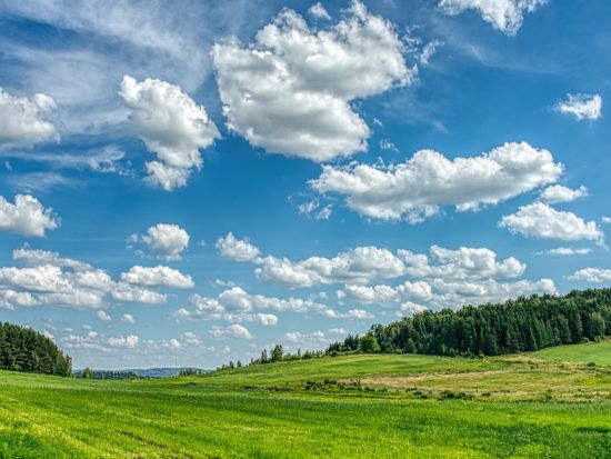 イースタン・タウンシップス1日観光ツアー　静かに息づくリゾート地 ＜4～10月／昼食付き／日本語ガイド／モントリオール発＞