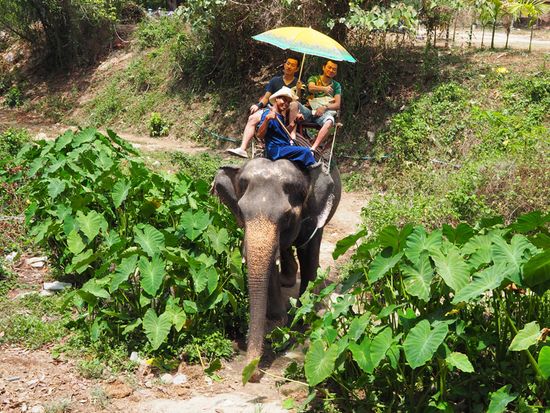 Page33スケジュール