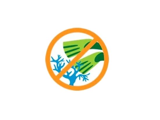 ECOサンゴを触らない