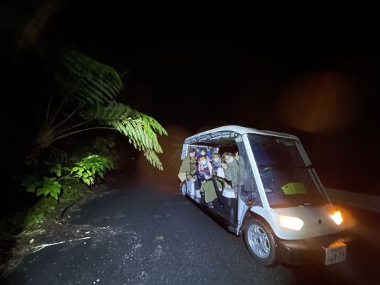 電気自動車で行く野生に一番近づける、静寂のナイトツアー｜アマミノクロウサギと未体験の夜の冒険！1名参加可 by 奄美バギーアンドナイトウォッチングガイドサービス