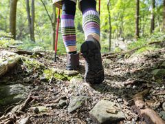 Japan_Generic_Hiking_pixta_72377930_M