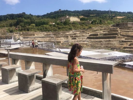 アニャナの塩田見学とバスクの州都ビトリア＝ガステイス 1日観光ツアー＜日本語ガイド／ランチ付きプランあり／サン・セバスティアン発＞