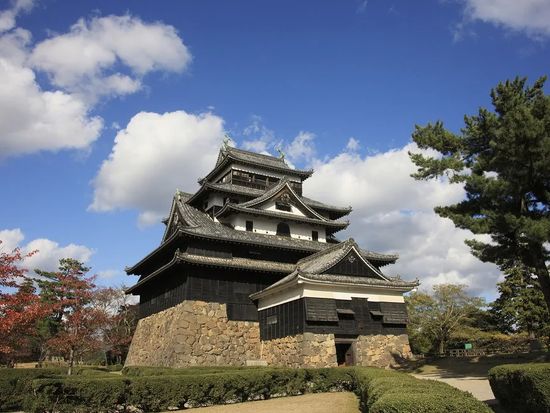 20210309091024_2109539261_15344_0