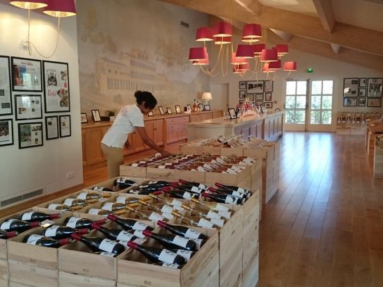 おすすめガイドがご案内！コート・ド・プロヴァンス　プライベートツアー＜ワイン試飲付／日本語／ニース発着＞