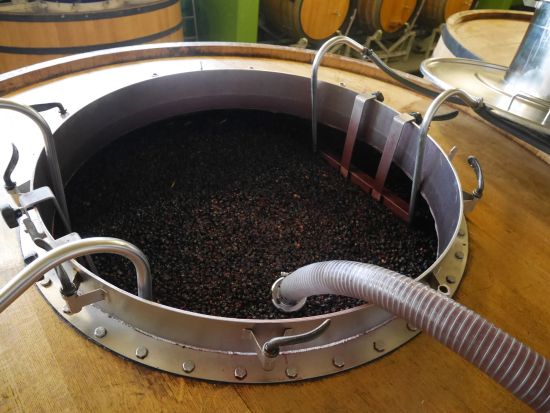 リオハ地方 ワイナリー2軒訪問（試飲付き）＋ワインの町アロ自由散策＜貸切／日本語ガイド選択可／ビルバオ発＞