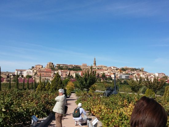 リオハ地方 ワイナリー2軒訪問（試飲付き）＋ワインの町アロ自由散策＜貸切／日本語ガイド選択可／ビルバオ発＞