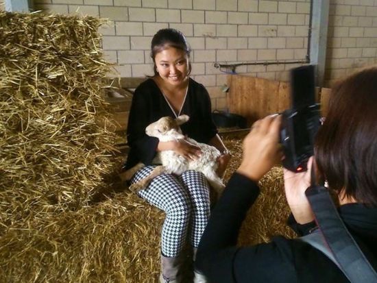チーズ好き必見！イディアサバルチーズ 農家見学 半日ツアー＜日本語ガイド／試食付／午後／サン・セバスティアン発＞