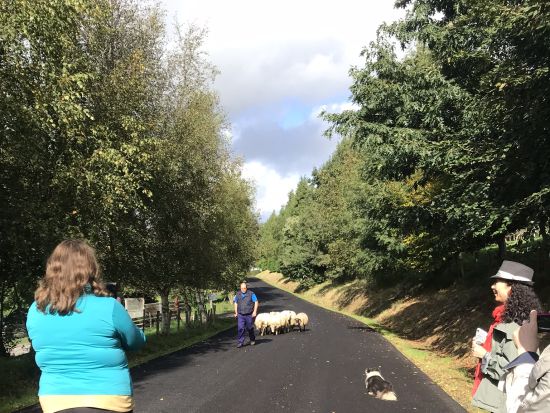 チーズ好き必見！イディアサバルチーズ 農家見学 半日ツアー＜日本語ガイド／試食付／午後／サン・セバスティアン発＞