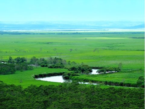 貸切観光タクシー 釧路湿原細岡展望台コース　人気の展望台から大観望を満喫＜2時間／1～9名／釧路市内ホテル・釧路駅・釧路空港送迎可＞ by 釧路日交タクシー