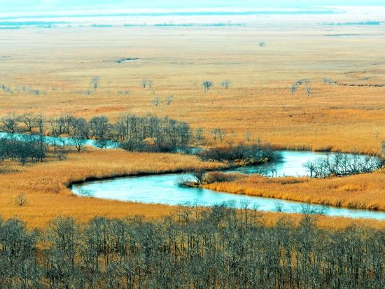 貸切観光タクシー 釧路湿原細岡展望台コース　人気の展望台から大観望を満喫＜2時間／1～9名／釧路市内ホテル・釧路駅・釧路空港送迎可＞ by 釧路日交タクシー