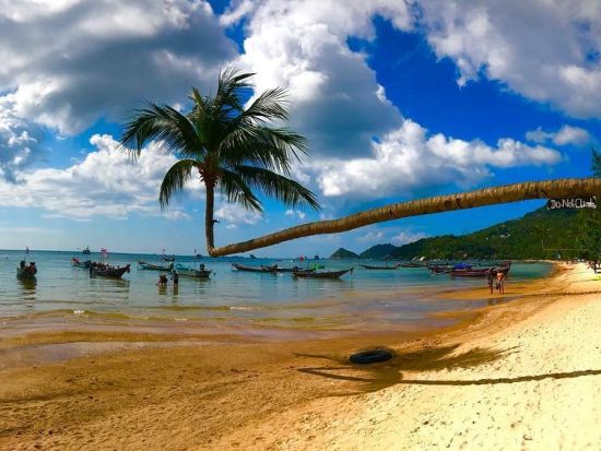 セイルロックファンダイビング　ジンベイザメ出現率No.1！タオ島とパンガン島の間にある岩礁のポイントへ　朝食＆昼食付き ＜ボート／2～4ダイブ＞by ほうぼう屋