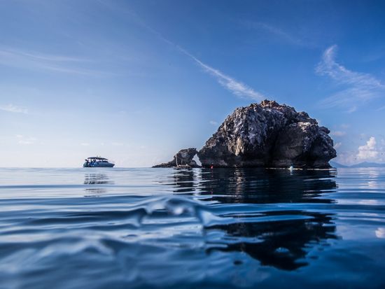 セイルロックファンダイビング　ジンベイザメ出現率No.1！タオ島とパンガン島の間にある岩礁のポイントへ　朝食＆昼食付き ＜ボート／2～4ダイブ＞by ほうぼう屋