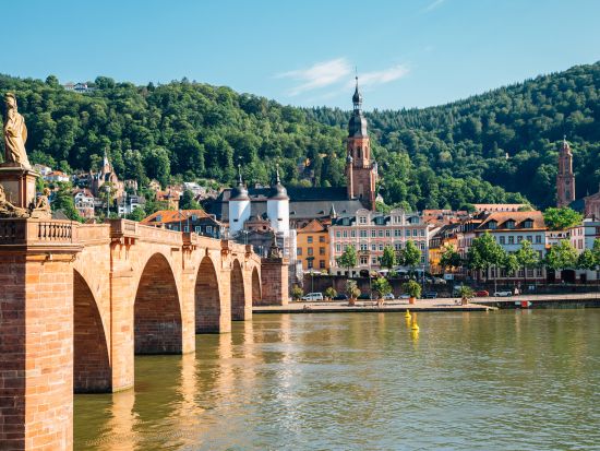 フランクフルト発 古都ハイデルベルク半日観光ツアー　ハイデルベルク城の入場付き＜午前・午後／英語ドライバー＞