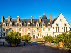 France_Loire-Valley_Chateau_de_Blois_pixta29810696