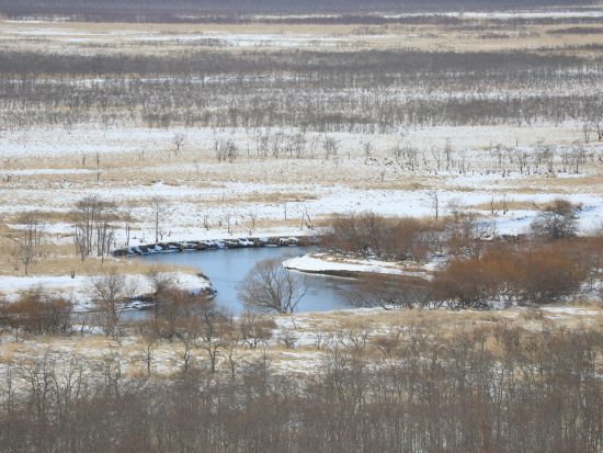貸切観光タクシー 釧路湿原展望台からのパノラマ鑑賞コース＜1.5時間／1～9名／釧路市内ホテル・釧路駅・釧路空港送迎可＞ by 釧路日交タクシー