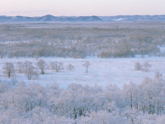 貸切観光タクシー 釧路湿原展望台からのパノラマ鑑賞コース＜1.5時間／1～9名／釧路市内ホテル・釧路駅・釧路空港送迎可＞ by 釧路日交タクシー