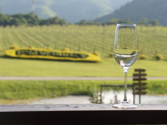 310307149_6188648387829089_1954338811832702848_n