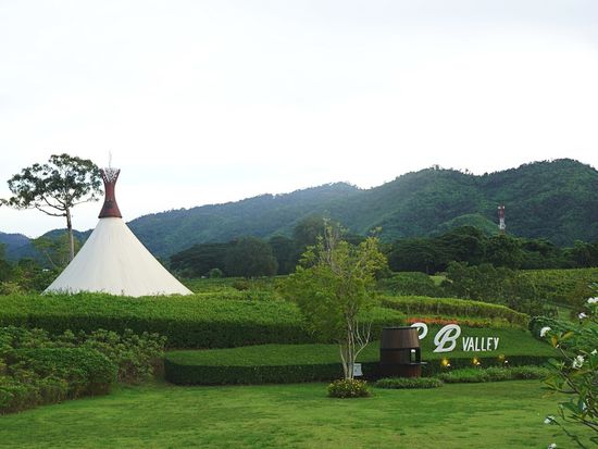 307913219_6121207541239841_8918127073711040755_n