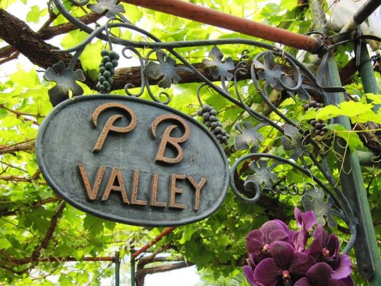 カオヤイワイナリー巡り　PBワイナリー＋グランモンテワイナリー　テイスティング付き＜土・日催行／日本語ガイド＞