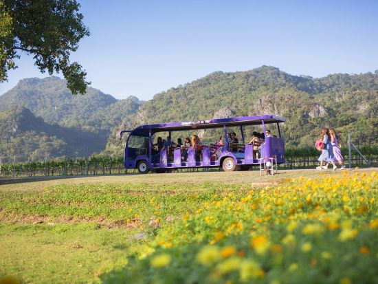 カオヤイワイナリー巡り　PBワイナリー＋グランモンテワイナリー　テイスティング付き＜土・日催行／日本語ガイド＞