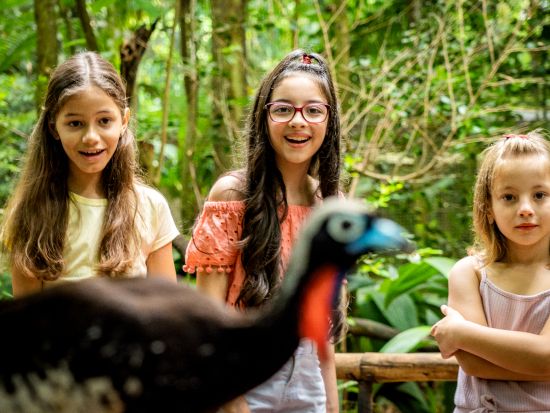 イグアスの滝の上のホテルから優先観光♪ 終日貸切ツアー☆ボート・ヘリコプター・野鳥園付プランあり！＜ブラジル側／日本語ガイド／朝食付／お客様ホテルor空港発着＞