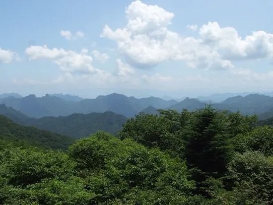 e02b42_117048f987954ab4b298a0cdf