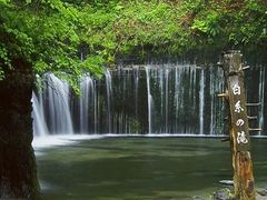 e02b42_55dc56bc2b2b48fe905190645