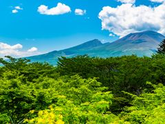 pixta_78814326_M