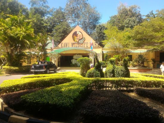 朝からたっぷり満喫！　サンライズSUP体験＆ロッカウィ動物園ツアー　シュノーケリング体験付き＜半日／英語ガイド／コタキナバル発＞