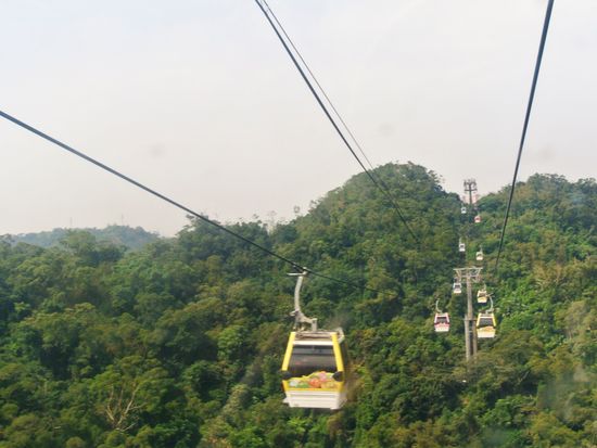 猫空ロープウィ