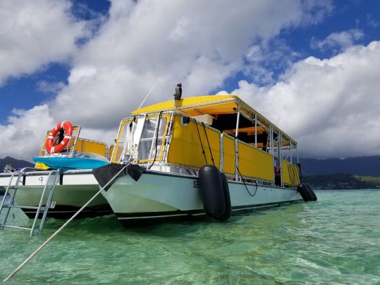 貸切ボートチャーター　野生のイルカウォッチング＆シュノーケリング付きクルーズ　ご家族やお友達だけで特別なクルーズ体験！＜日本語ガイド／ワイキキ＆コオリナ送迎＞