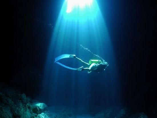 235330415_10158665790203843_504915489988119673_n