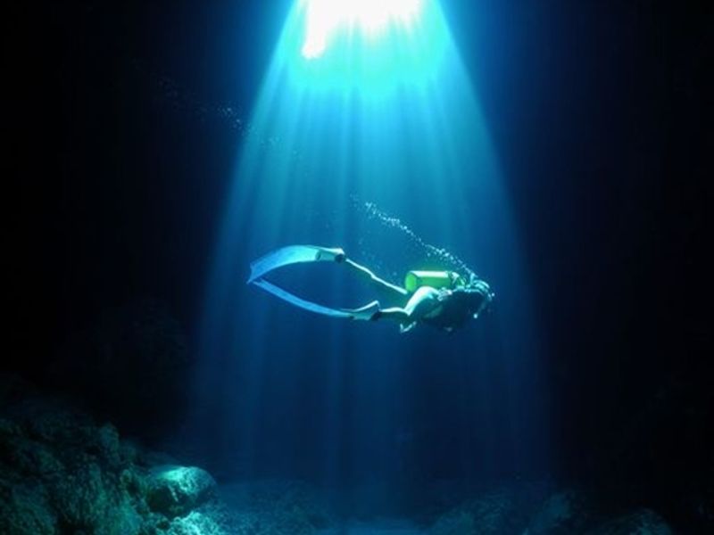 235330415_10158665790203843_504915489988119673_n