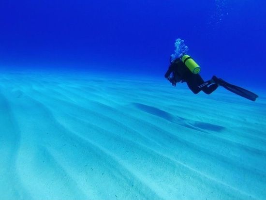 82307131_10157218920678843_113972218534297600_n