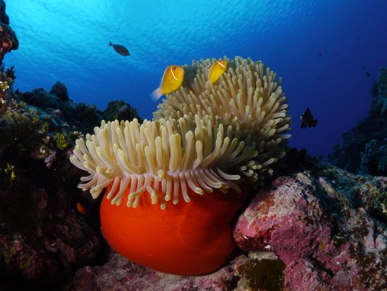 MR. ISHIKAWA_2017 104